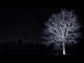 Round Midnight- Mulligan Meets Monk