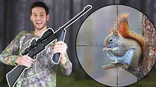 Squirrel Hunting with 10 Pump BB gun!