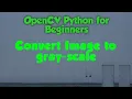 How to convert Image to Grayscale with python openCV