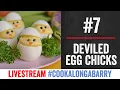 Deviled Egg Chicks - Livestream 7