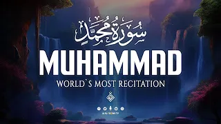 Surah Muhammad سورة محمد A Spiritual Whisper To Clear The Mind Al Taqwa TV 