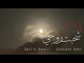 Ghalia Benali/ Shahubat Rouhy/غالية بنعلي/ شحبت روحي