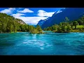 Download Lagu Purnama Tanjudin ( 陳 世 祥 ) - Wo Cau Tau Ce Ci