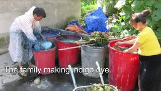 Sapa Trek highlights reel, Vietnam