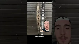 تأثير الجزرة والعصا  مال دندنها