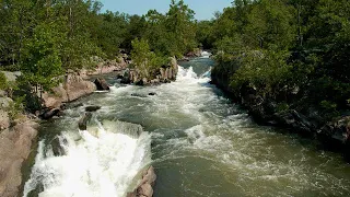 فيروز ذكرى بردى 