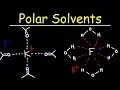 Polar Protic Solvents and Polar Aprotic Solvents For SN1 SN2 Reactions