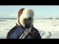 Download Lagu Elle Márjá Eira - GUODOHIT (Guođohit-To herd)