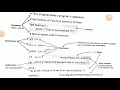 Barebones of python programs