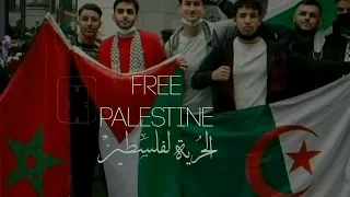 نغمات رنين حماسية    رنات هاتف فلسطينية                            دندنها