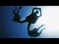 Download Lagu We Are PADI, The Way the World Learns to Dive