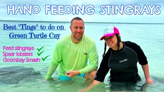 Best things to do on Green Turtle Cay in the Bahamas Feeding stingrays and the famous Goombay Smash