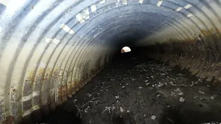                     دندنها