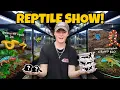 BUYING Reptiles at World s Largest Reptile Expo INSANE