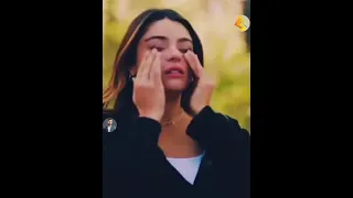 ابتدا المشوار  ابتدا المشوار