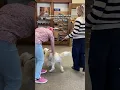 Pet-Friendly Corvallis