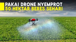 CERDAS! INI CARA PETANI MODERN BERANTAS HAMA PADI SELUAS 50 HEKTAR CUMA 1 HARI