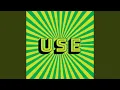 Download Lagu Vibrant Vibes