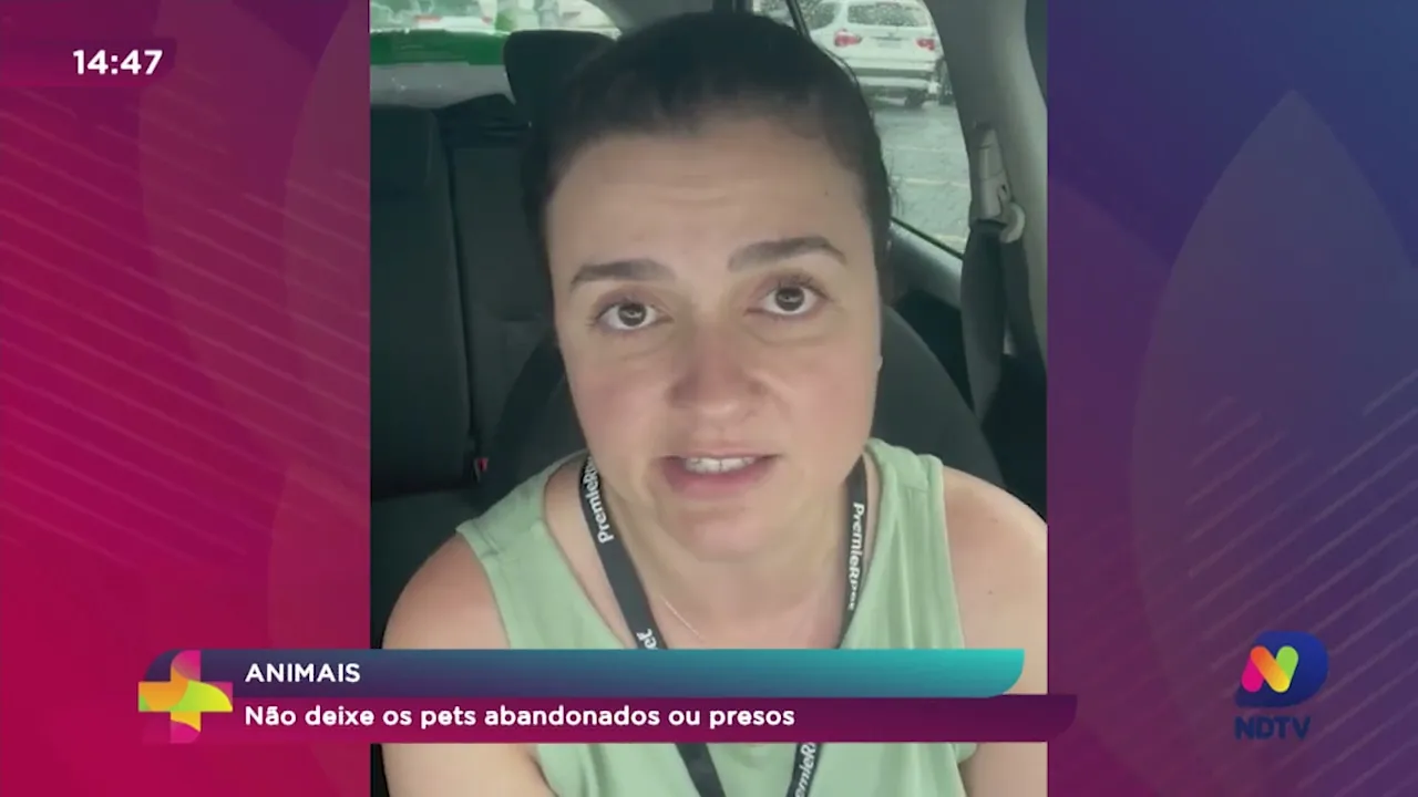 Não deixe os pets abandonados ou presos durante os alagamentos e enchentes