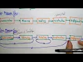 process flow linear iterative software engineering