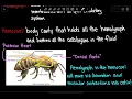 Open Circulatory System Circulatory System Biology