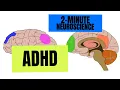 Download Lagu 2-Minute Neuroscience: ADHD