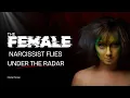 Download Lagu The Female Narcissist Flies Under The Radar