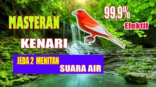 masteran kenari jeda suara air 2 menit efektif untuk murai