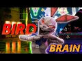 Download Lagu BIRDBRAIN - FNAF Security Breach Vanny Animation ( Kasane Teto)