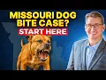 Missouri Dog Bite Laws Liability Compensation Winning Your Case