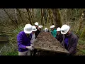 Alternative Spring Break Redwood National Park 2018