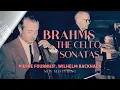 Brahms - Cello Sonata No.1 in E minor, Op.38 (C.rc.: Pierre Fournier, Wilhelm Backhaus / Remastered)