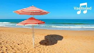 vaelissed seaside reverie official music video 