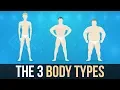 The 3 Body Types - Mesomorph Ectomorph and Endomorph