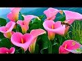 Download Lagu 🌿 Zachte Helende Piano: Angst Kalmeren \u0026 Innerlijke Balans Herstellen 🌙