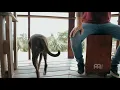 La mujer que bota fuego - Manuel Medrano (Acústico)