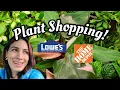 SO MANY HANGING BASKETS diamonds in the rough at Lowe s Home Depot in Bloomfield CT
