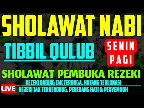 Download MP3 Sholawat Penarik Rezeki Paling Mustajab | Tibbil Qulub | Sholawat Syifa, Penenang Hati | Senin Pagi