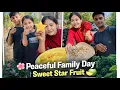 Lagu Peaceful Family Moments | Wife Collecting flower Seeds \u0026Sweet Star Fruit Treat”