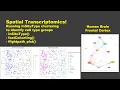 Spatial Transcriptomics - Part 4 Unsupervised InSituType