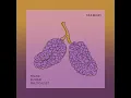 Mulberry