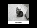 Memory - Elaine Page/Andrew Lloyd Weber