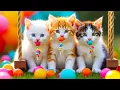 Download Lagu ANAK KUCING MEONG MEONG - SI MEONG KUCING LUCU ❤️ Lagu Anak Indonesia Viral