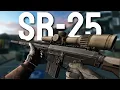 Behind on Wipe Try This Gun and Ammo Combo at LL2 Traders Escape from Tarkov
