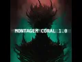 MONTAGEM CORAL 1.0