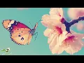 Peder B Helland - Our Future