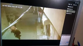 بلطجة في شارع سلامة عبد اللة ابو قير 