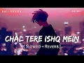 Download Lagu Chal Tere Ishq Mein Male Version (Slowed + Reverb) | Vishal Mishra | Gadar 2 | SR Lofi