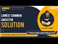 Lowest Common Ancestor Solution