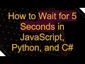 How to Wait for 5 Seconds in JavaScript Python and C
